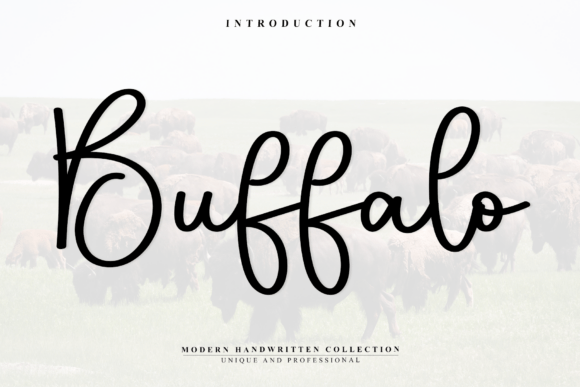 Buffalo: Bold, Beautiful, and Built for Creativity
