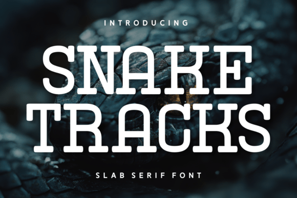 Snake Tracks: Elegant and Trendy Fonts